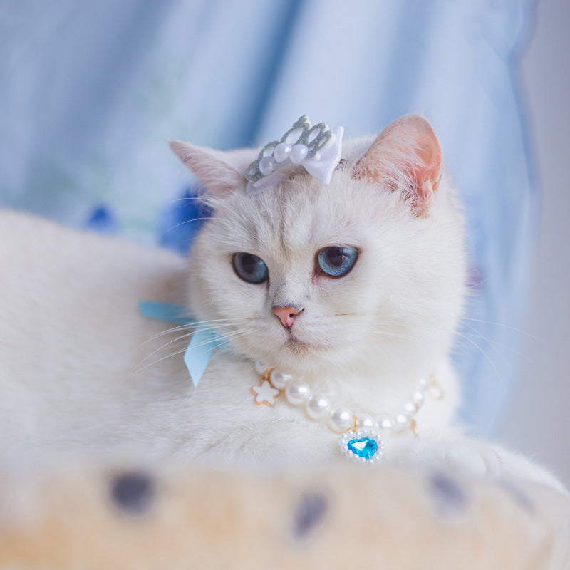 Gata blanca con collar de perlas y corona plateada