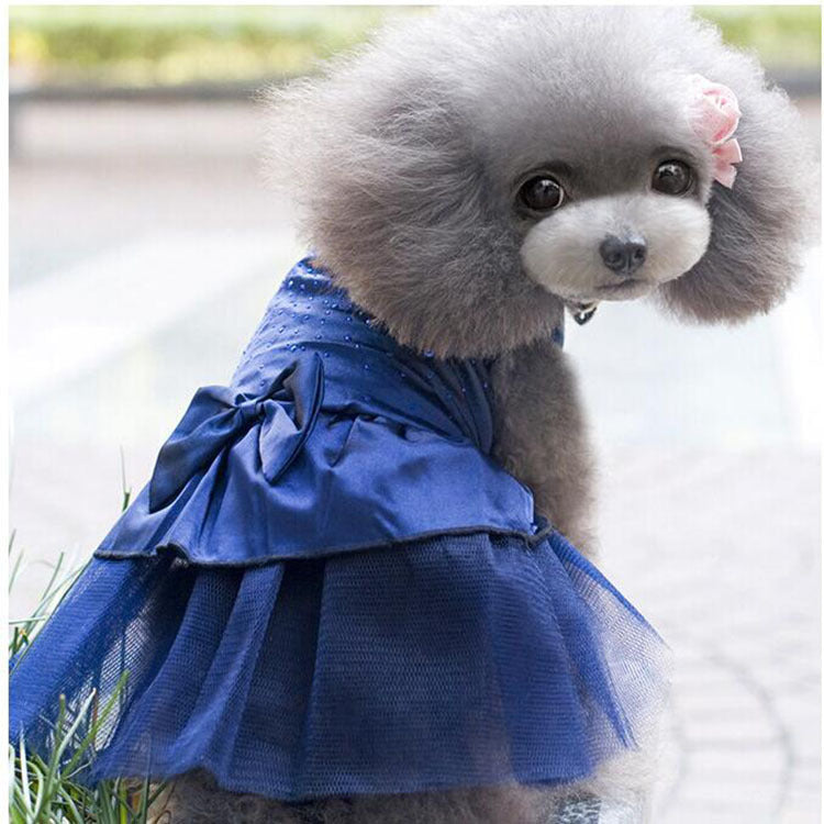 Vestido princesa azul tutú para perrita con lazo satinado